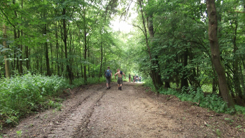 WalkAway-Gruppe erkundet den Wald